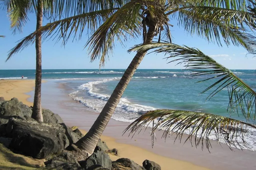Апартаменты Comfortable And Affordable Deal Close To Beach And Rainforest Рио-Гранде